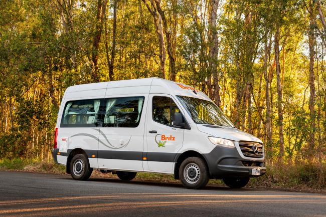 White Britz campervan parked on a road against a backdrop of tall, sunlit forest trees.
