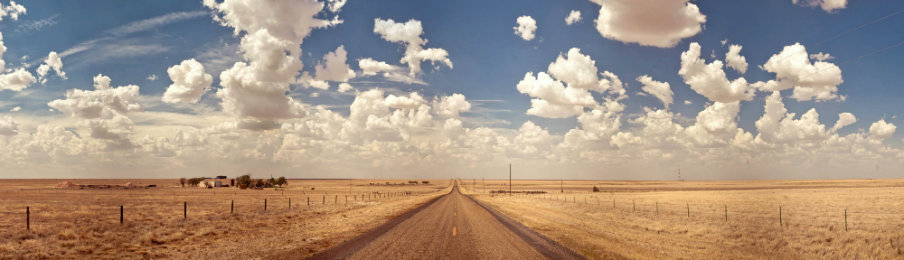 Road Through Field in Texas