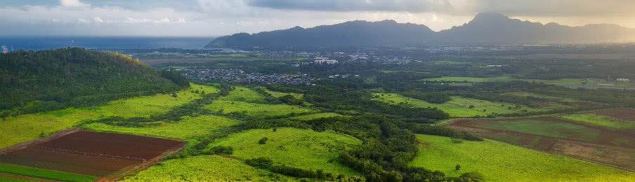 aerial view of kauai island near lihue town