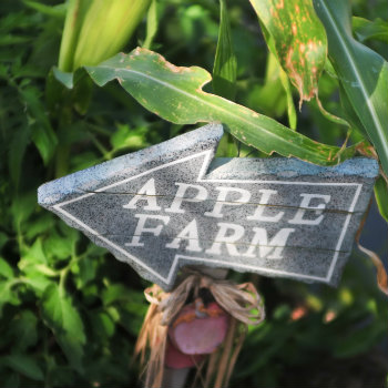 Apple Farm Sign in Montreal
