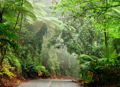 Hobart to Launceston road trip
