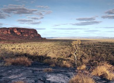 Top End scenery between Darwin and Adelaide.