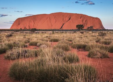 Uluru in the morning light.