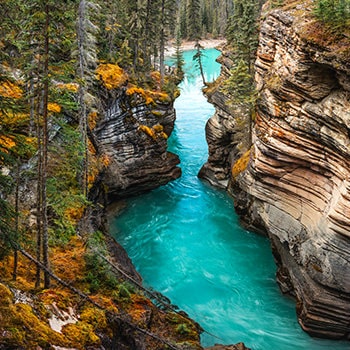 athabasca falls waterfall in jasper national park