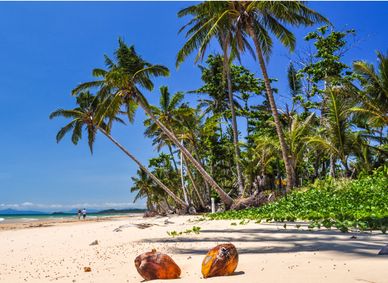 Beach scene near Cairns.