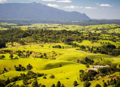 Atherton Tablelands in Queensland, Australia.