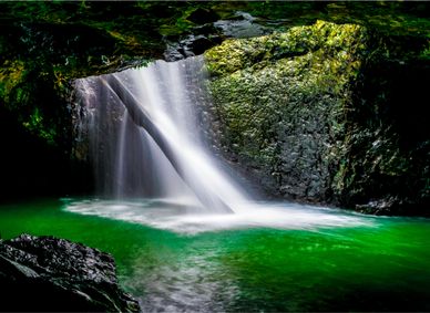 A natural bridge at Springbrook near the Gold Coast.