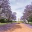 Dubbo