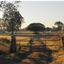 Morayfield