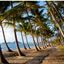 Palm Cove
