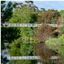 Queanbeyan