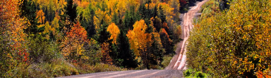 Autumn woods dirt road in New Brunswick Canada