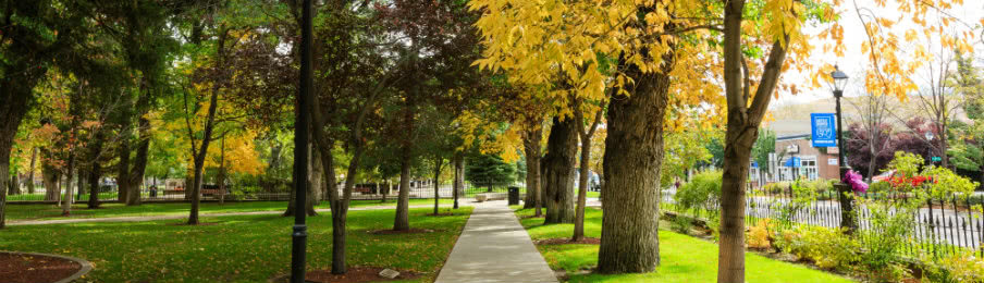beautiul park in carson city