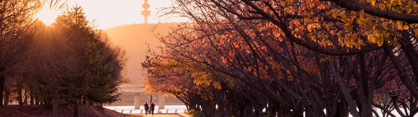 Take a sunset jog along the banks of Canberra’s Lake Burley Griffin.