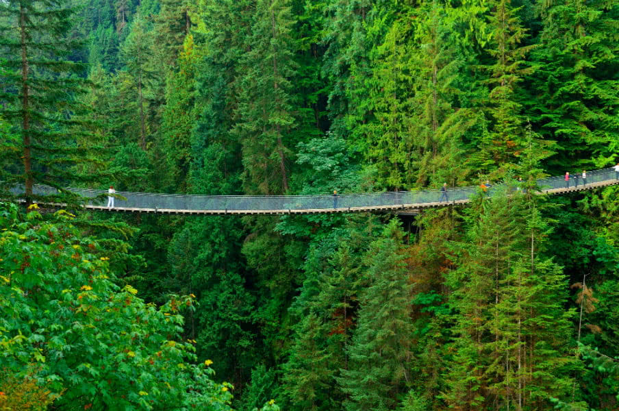 Capilano Suspension Bridge in Vancouver, CA
