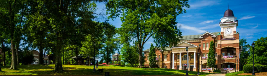 city hall and the town green in downtown duluth