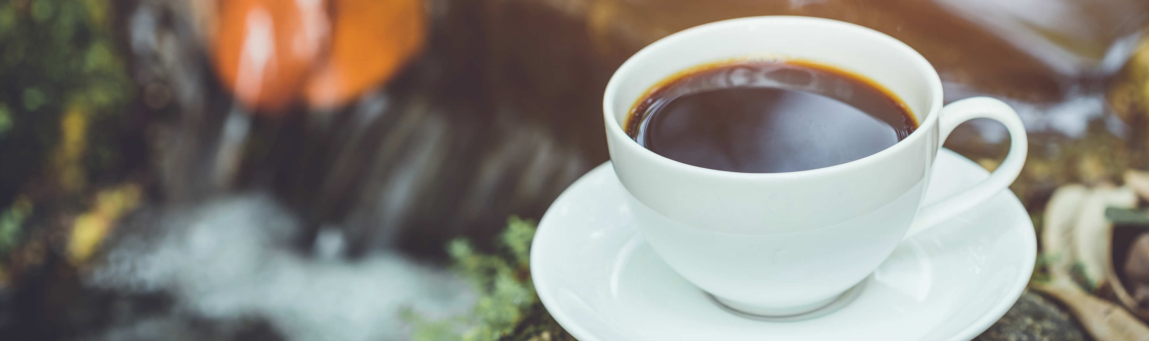 World’s largest coffee pot