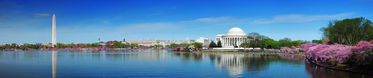 The Thomas Jefferson Memorial  in Washington DC.