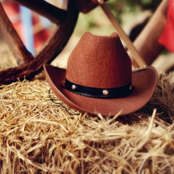 Cowboy Hat