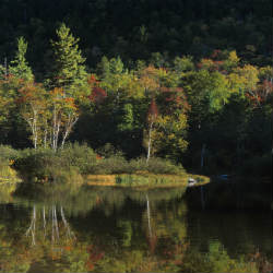 crawford lake conservation area