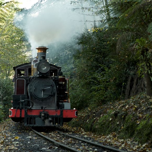 Puffing Billy is a highlight for many visitors to the Dandenongs.