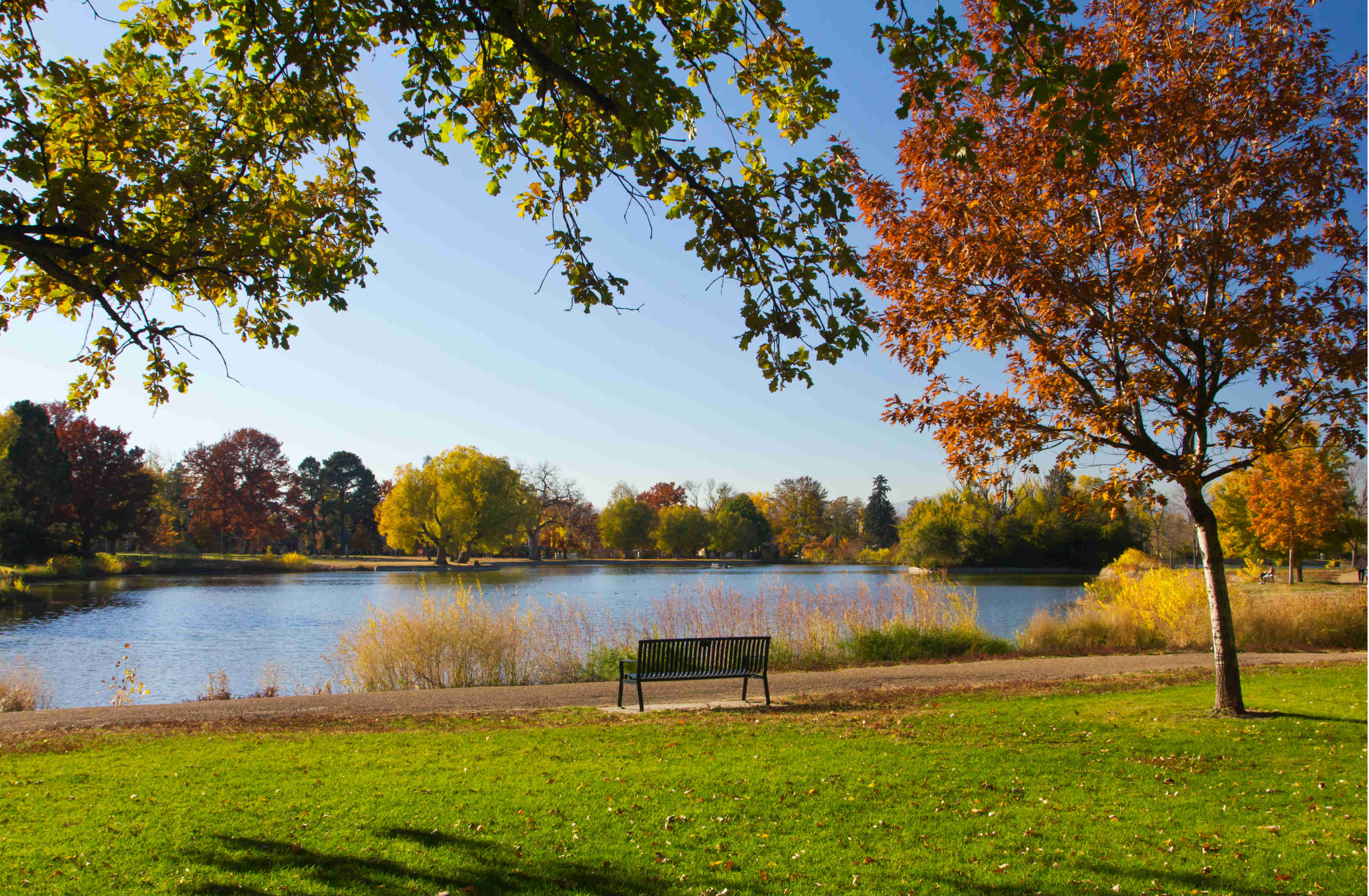 Denver airport car rental