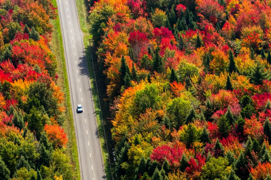 Road through New Brunswick