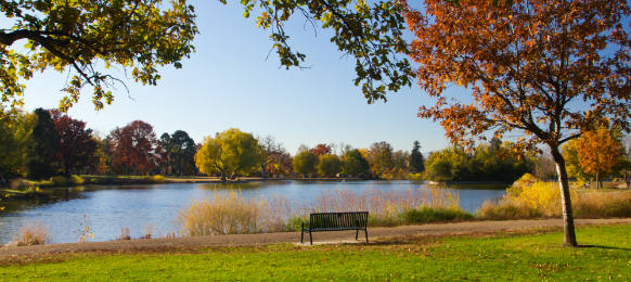 empty park bench by scenic lake in the fall