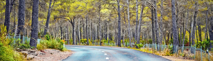 gilbert road on a clear blue sky morning