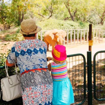 grandmother with granddaughter looking the elephant at the zoo