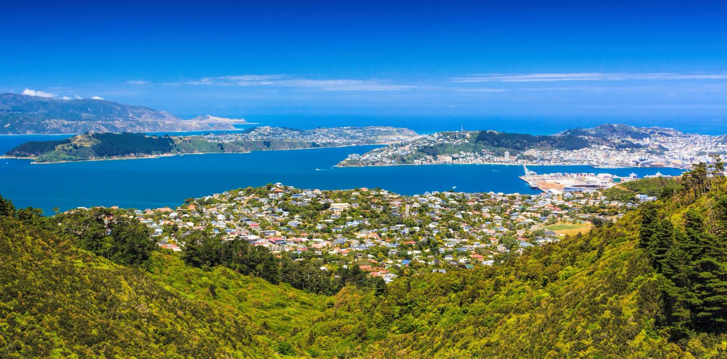 View over Wellington from the SkyLine track and Mount KayKay.