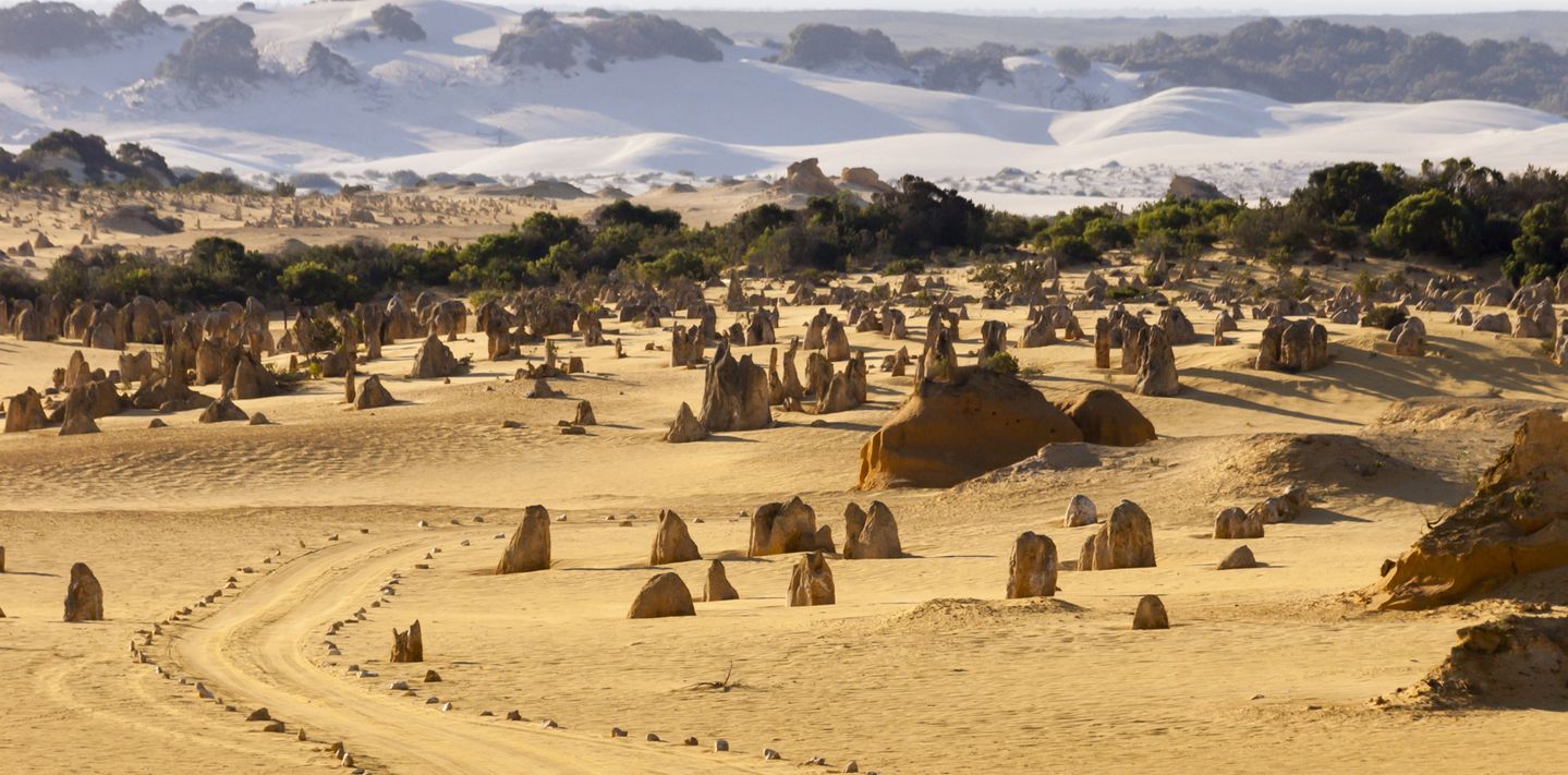 The Pinnacles Desert in Nambung National Park.