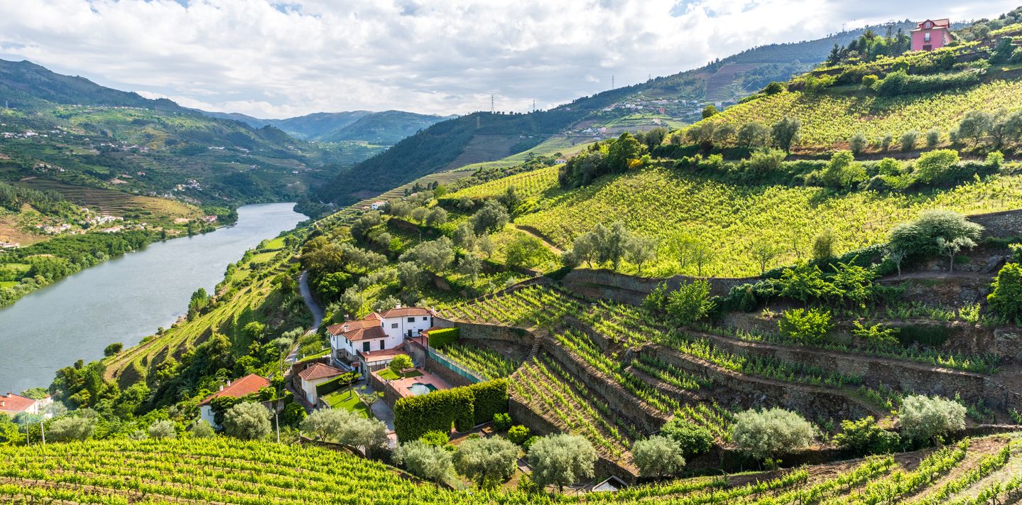 Landscape of the Douro River region in Portugal.