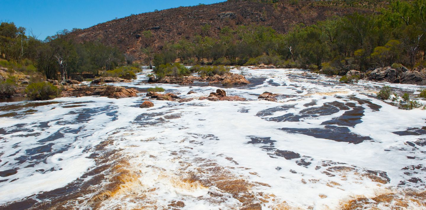 Bells Rapids Park in Brigadoon.