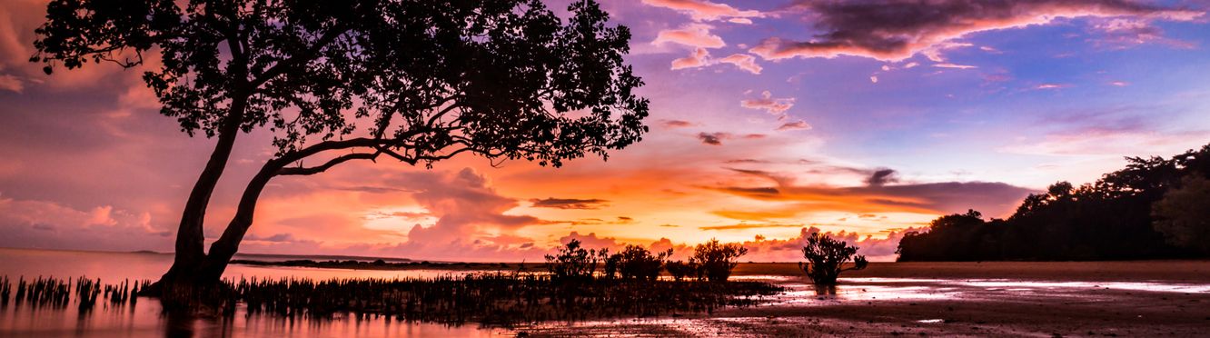 Sunset at East Point Reserve in Darwin.
