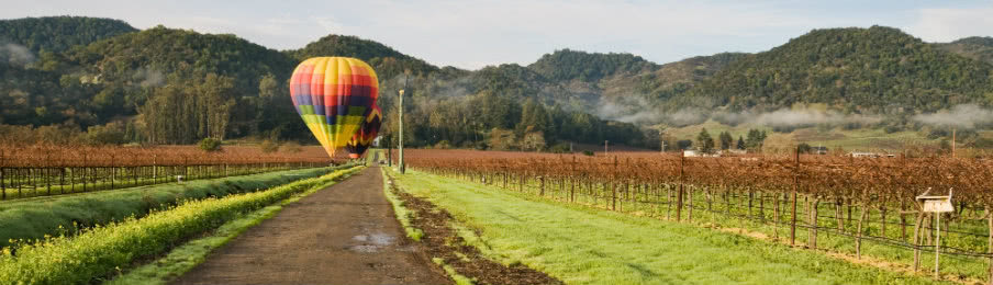 hot air balloon awaiting flight in napa valley california