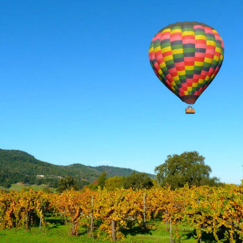Hot air balloon floating in Napa Valley vineyards