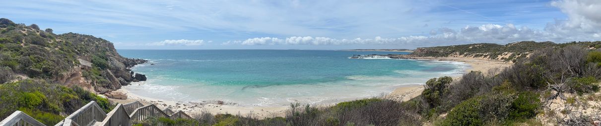 Glasses of wine at a cellar.