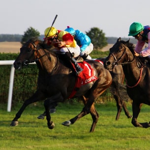 Leicester Racecourse in Leicester