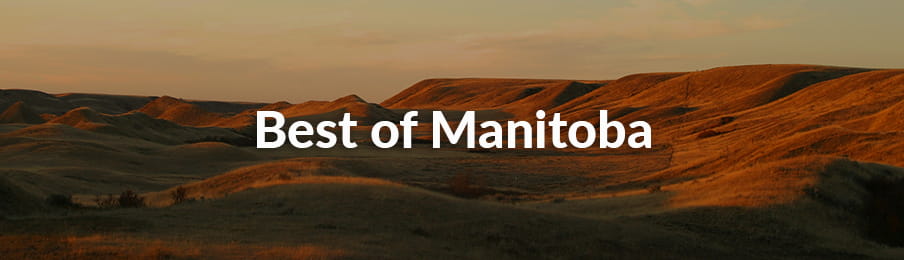 Vancouver Island road trips banner