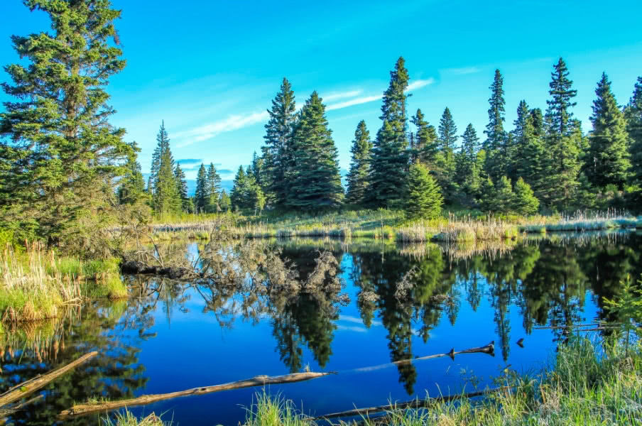 Manitoba view