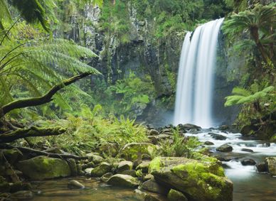 Hopetoun Falls in the Otways.