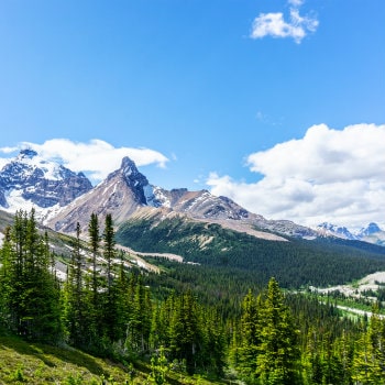 mount athabasca in jasper national park