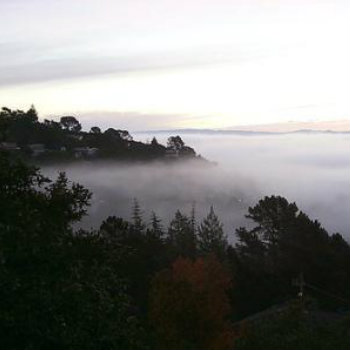 mountain view with fog