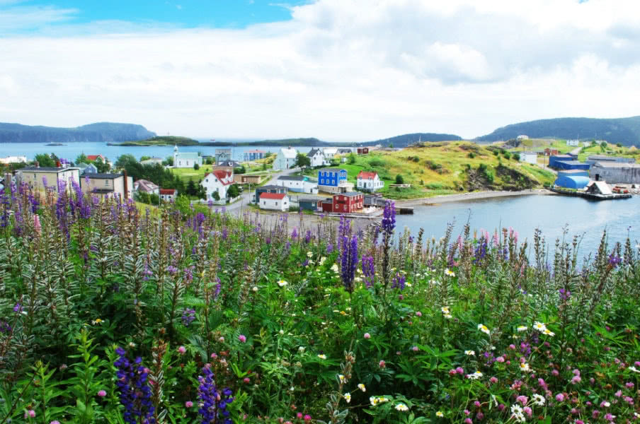 Views of Newfoundland