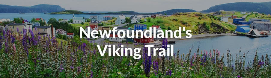Newfoundland Viking Trail in Canada banner