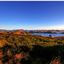 Dunedin