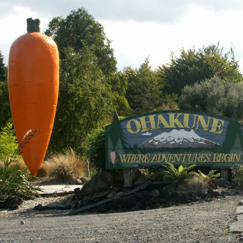 ohakune carrot