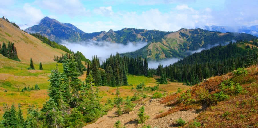 Olympic National Park, Washington, USA