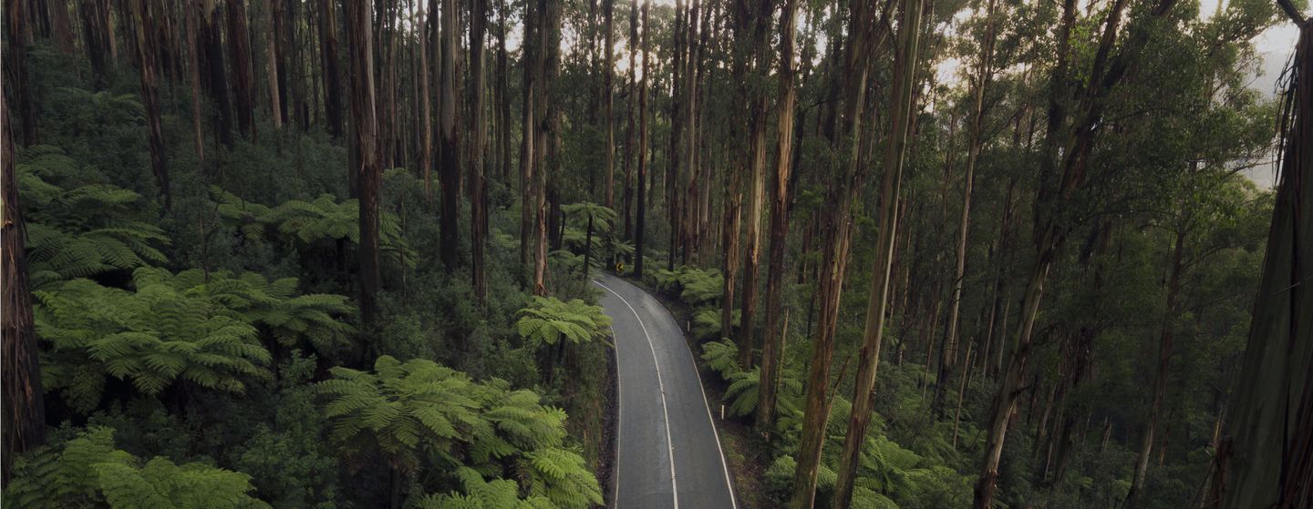 Comparing and booking a hire car is easy
